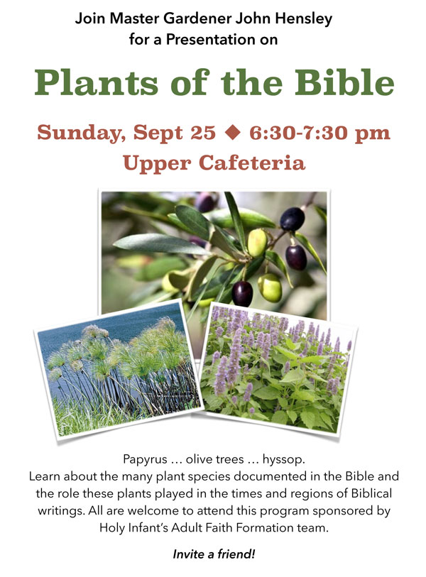 Plants of the Bible sponsored by Adult Faith Formation @ Upper Cafeteria